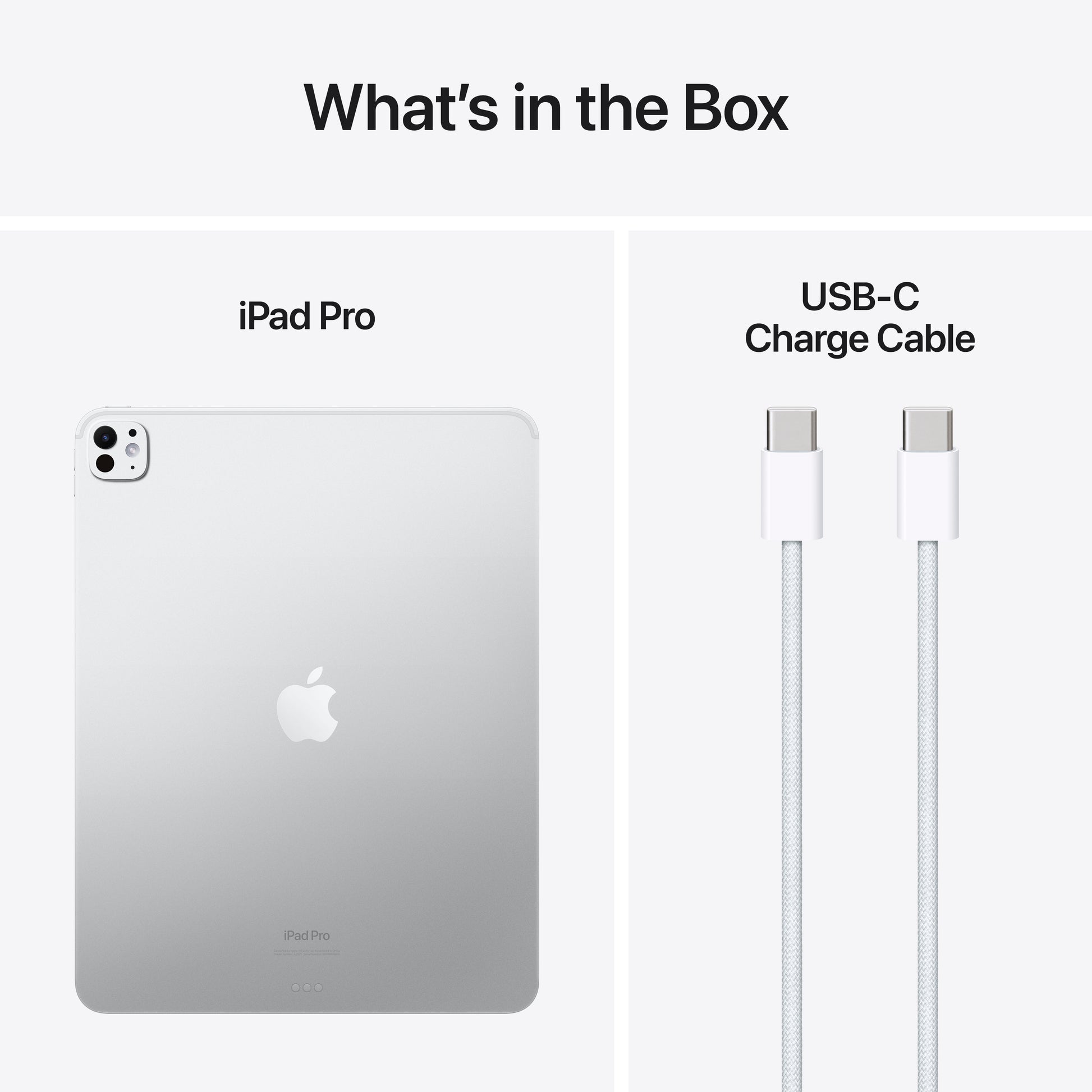 iPad Pro 13" M4 • WiFi 1TB • Argent