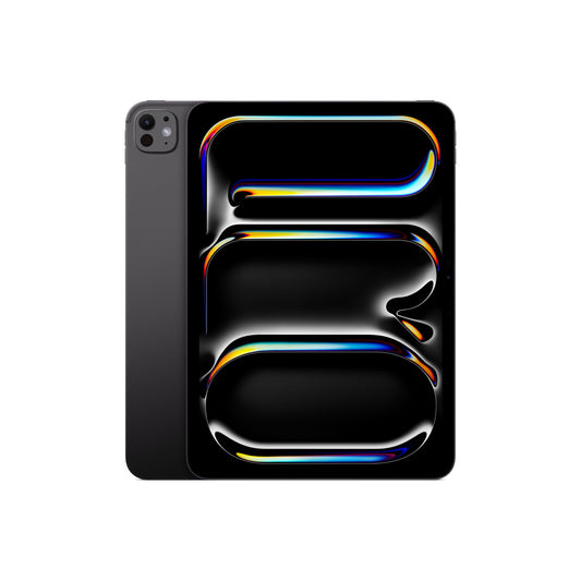 iPad Pro 11 pouces Wi-Fi 1 To Verre nano-texturé - Noir sidéral (M5)