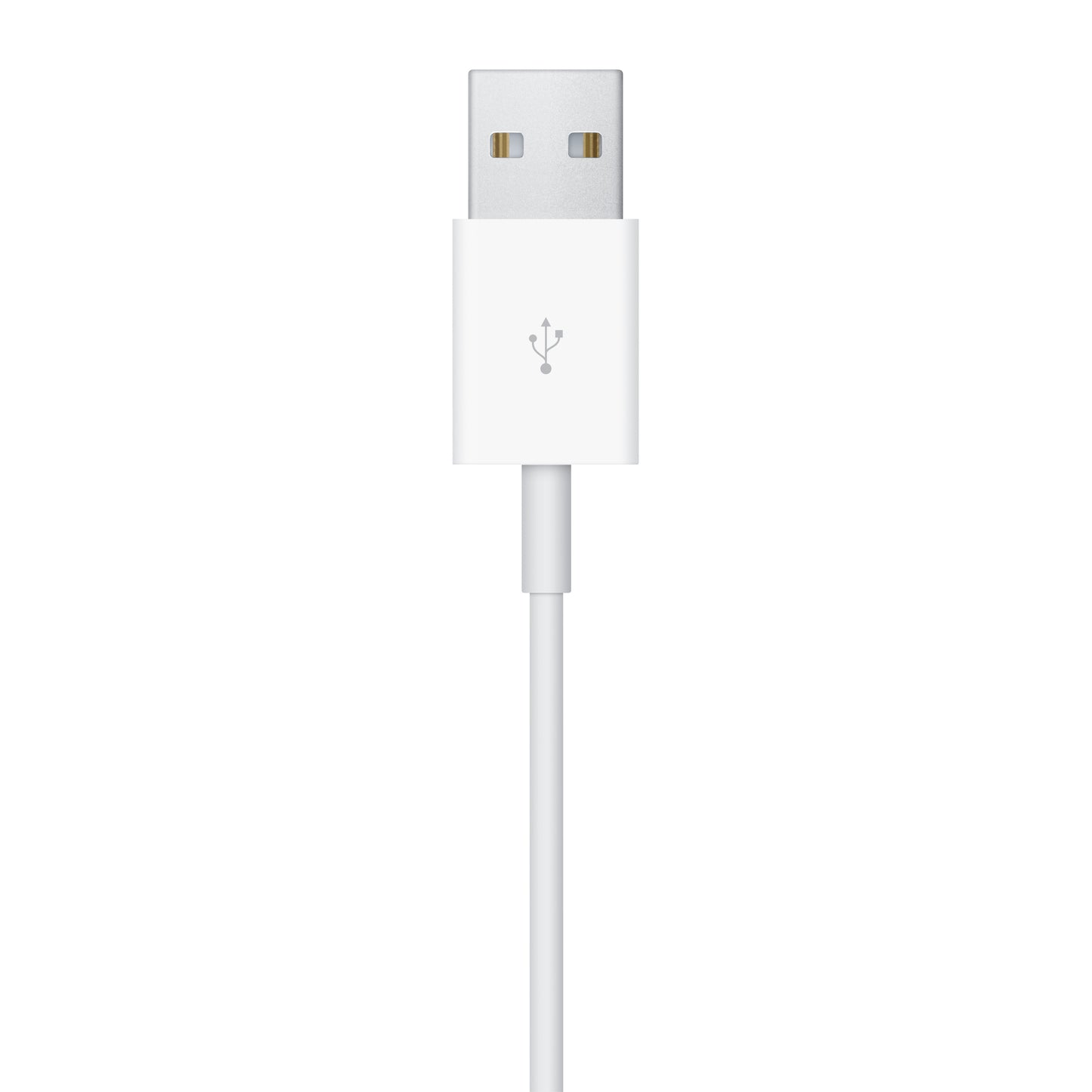 Apple Câble de charge magnétique Apple Watch • 1 m