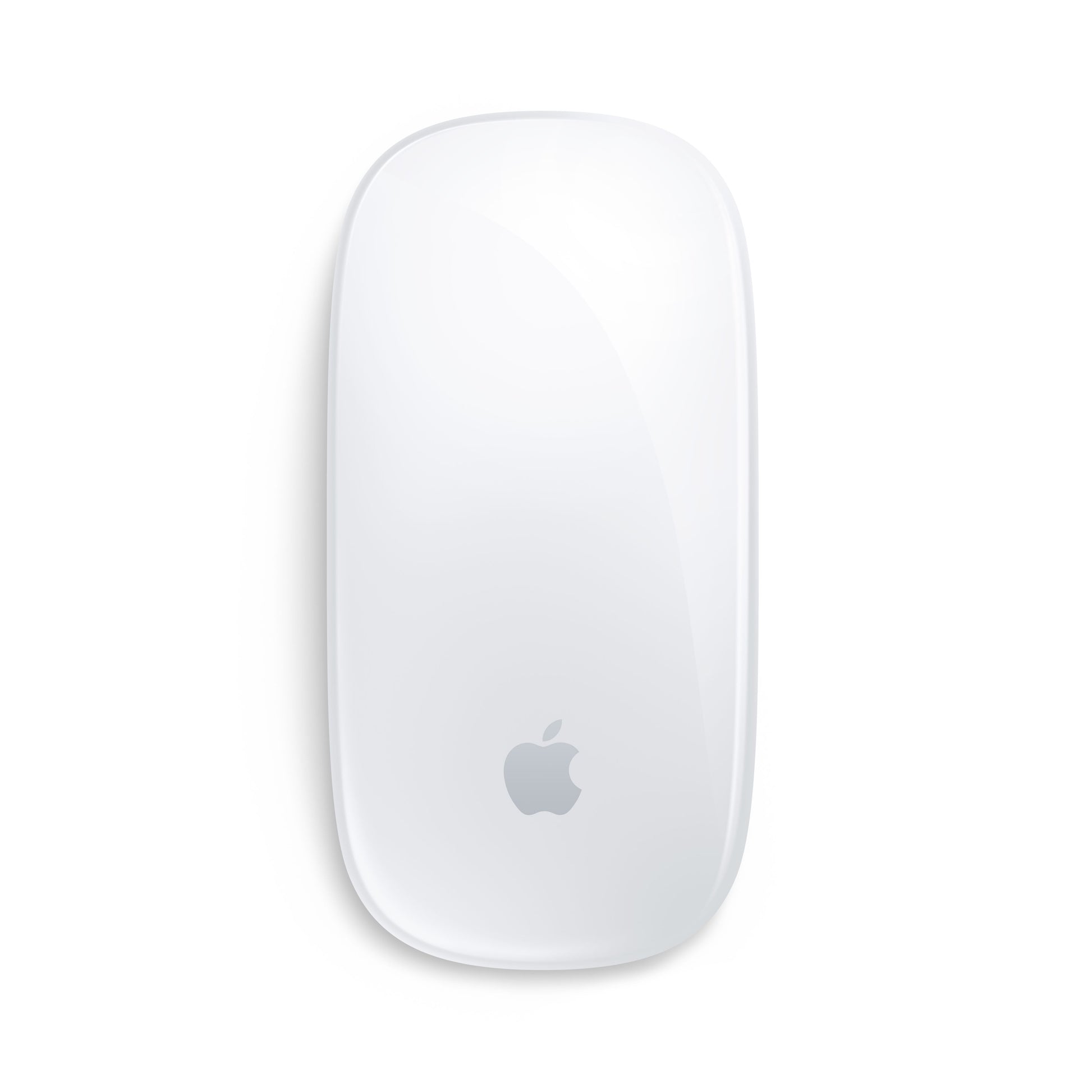 Apple Magic Mouse • Blanc (USB-C)