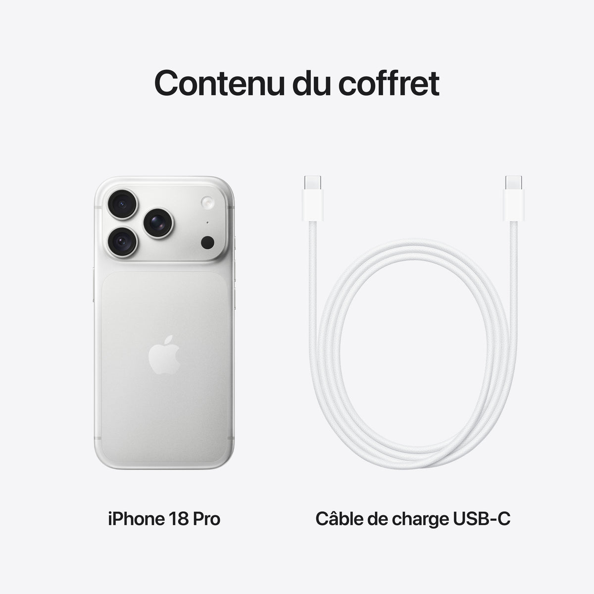 iPhone 18 Pro 256 Go Argent