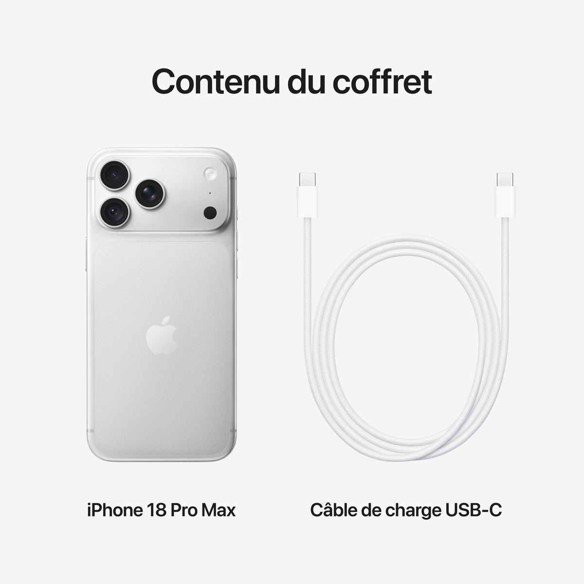 iPhone 18 Pro Max 256 Go Argent