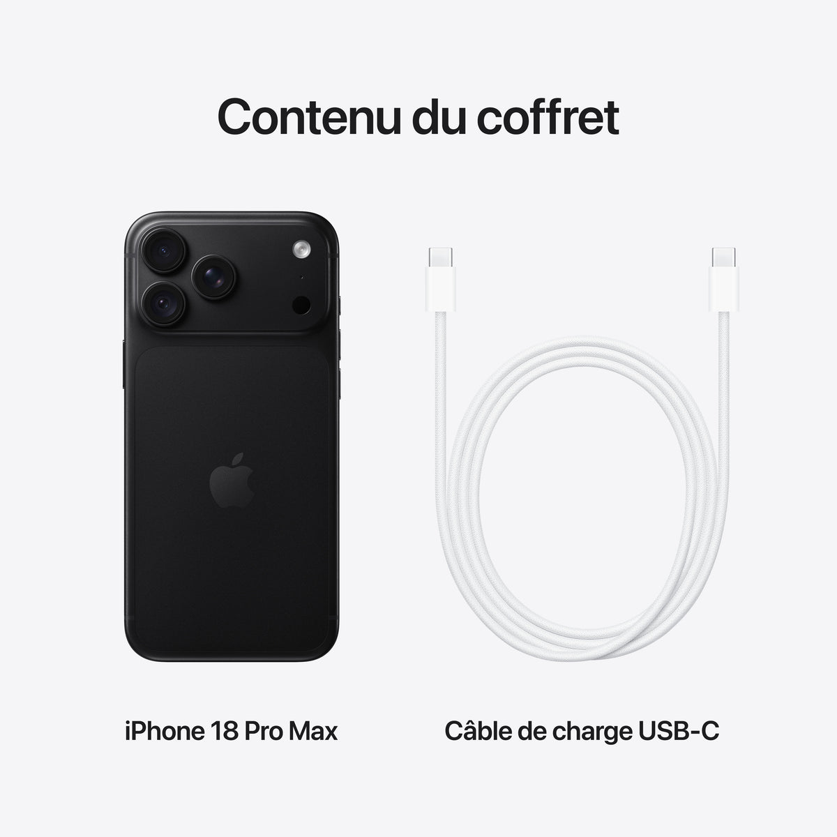 iPhone 18 Pro Max 256 Go Noir