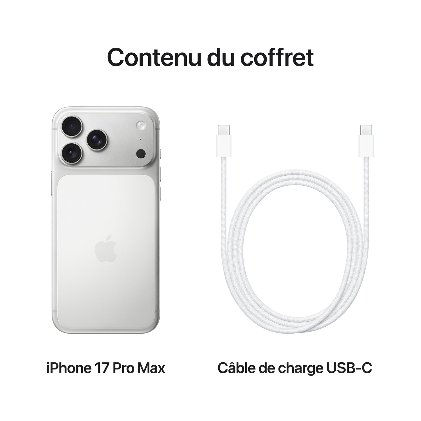 iPhone 17 Pro Max 256 Go Argent