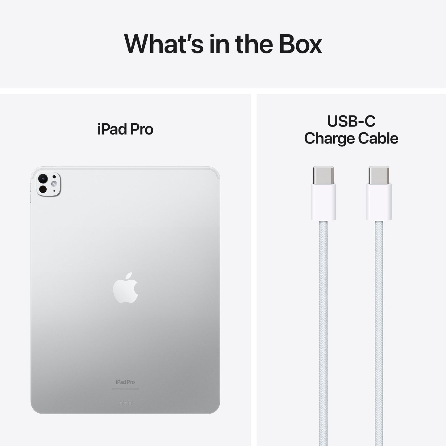 iPad Pro 13" M4 • WiFi 256GB • Argent