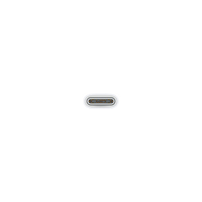 Apple Cable de Charge USB-C • 60W • 1m