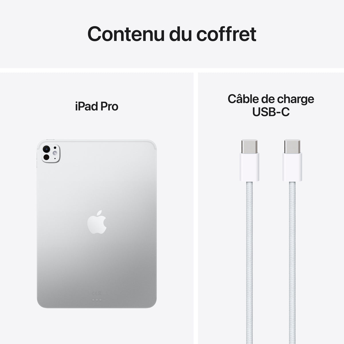 iPad Pro 11 pouces Wi-Fi 1 To Verre nano-texturé - Argent (M5)