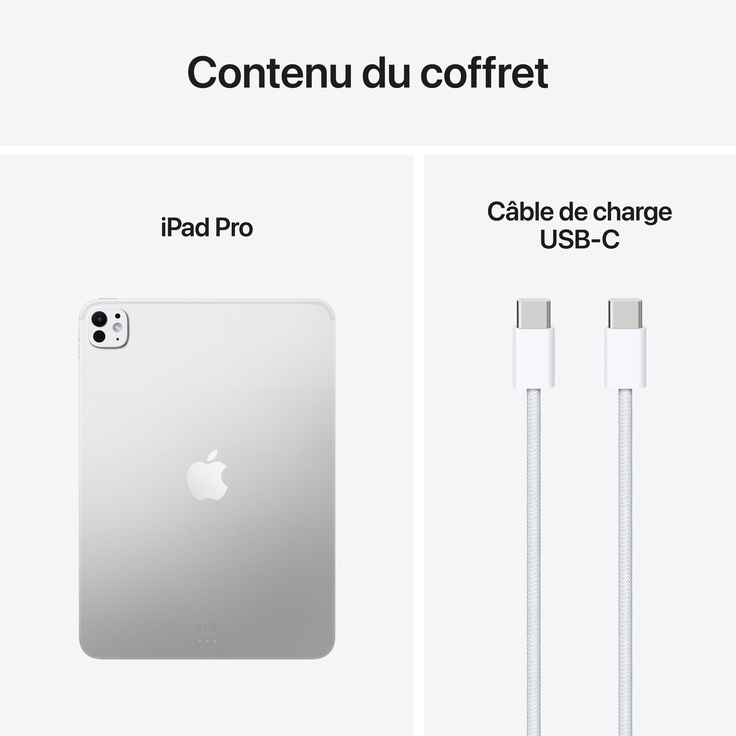 iPad Pro 11 pouces Wi-Fi 1 To Verre standard - Argent (M5)