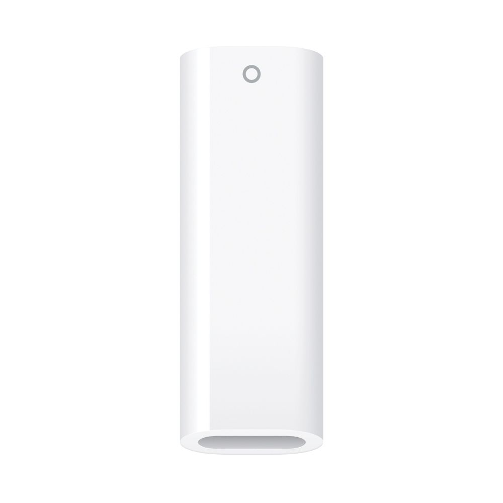Apple Pencil (1re génération) - Comprend Adaptateur USB-C vers Apple Pencil