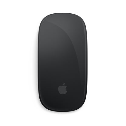 Apple Magic Mouse • Noir (USB-C)