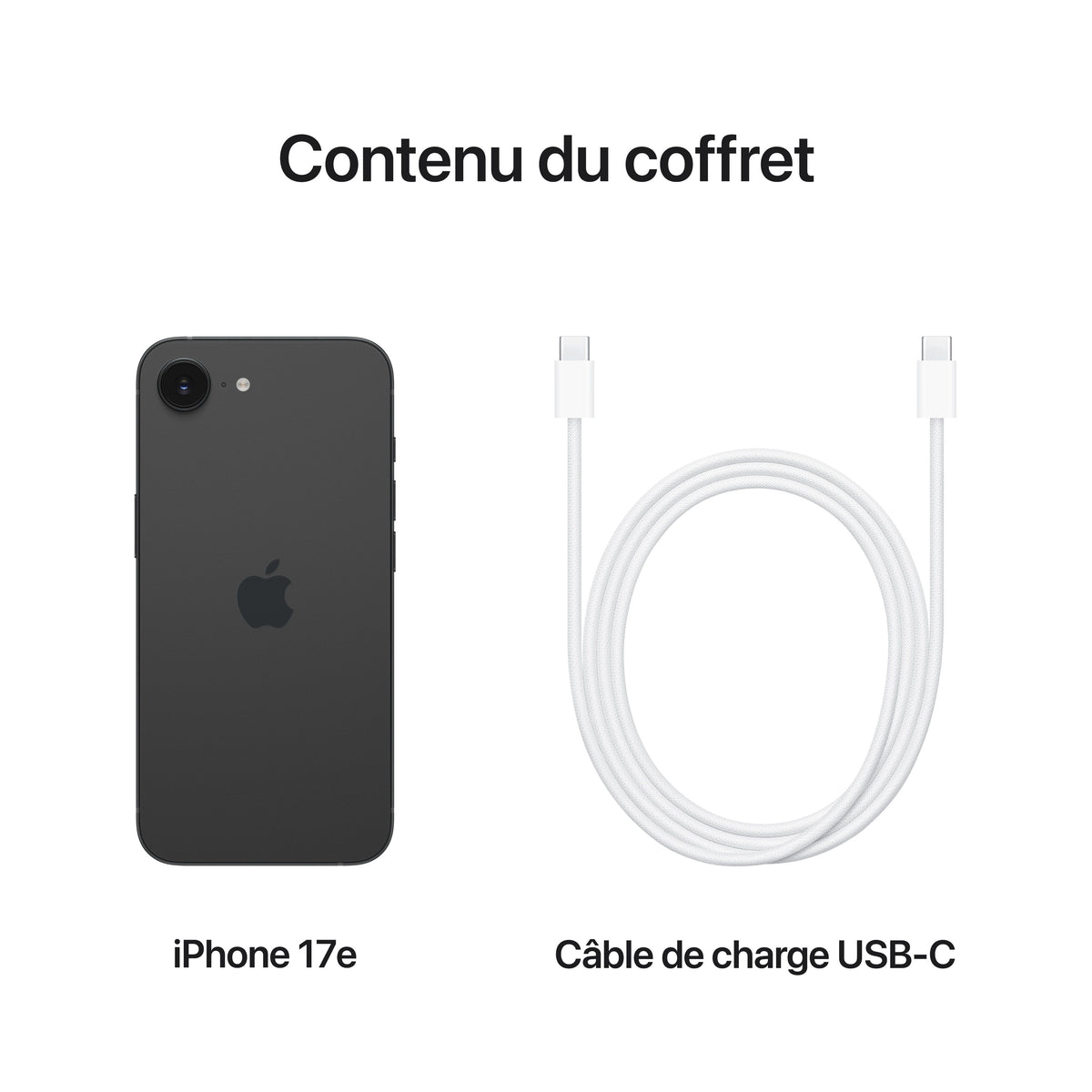 iPhone 17e 256 Go Noir