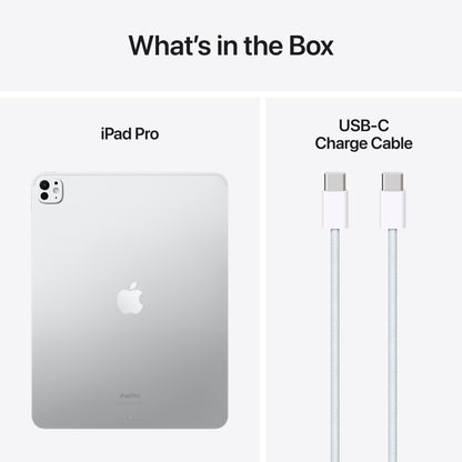 iPad Pro 13" M4 • WiFi 1TB • Argent