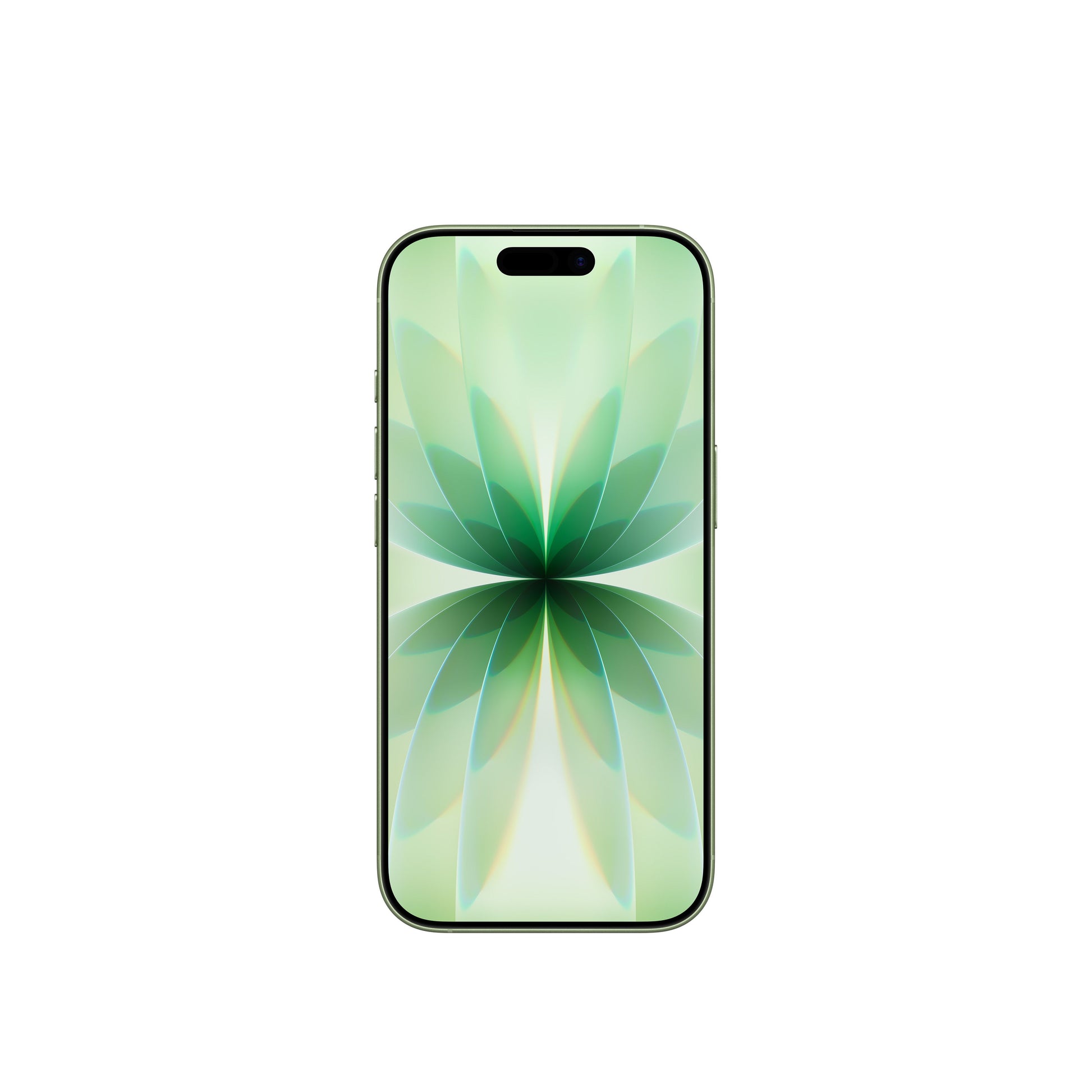 iPhone 17 • 256GB • Sauge