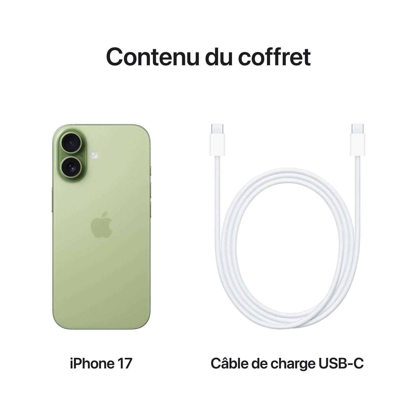 iPhone 17 512 Go Sauge