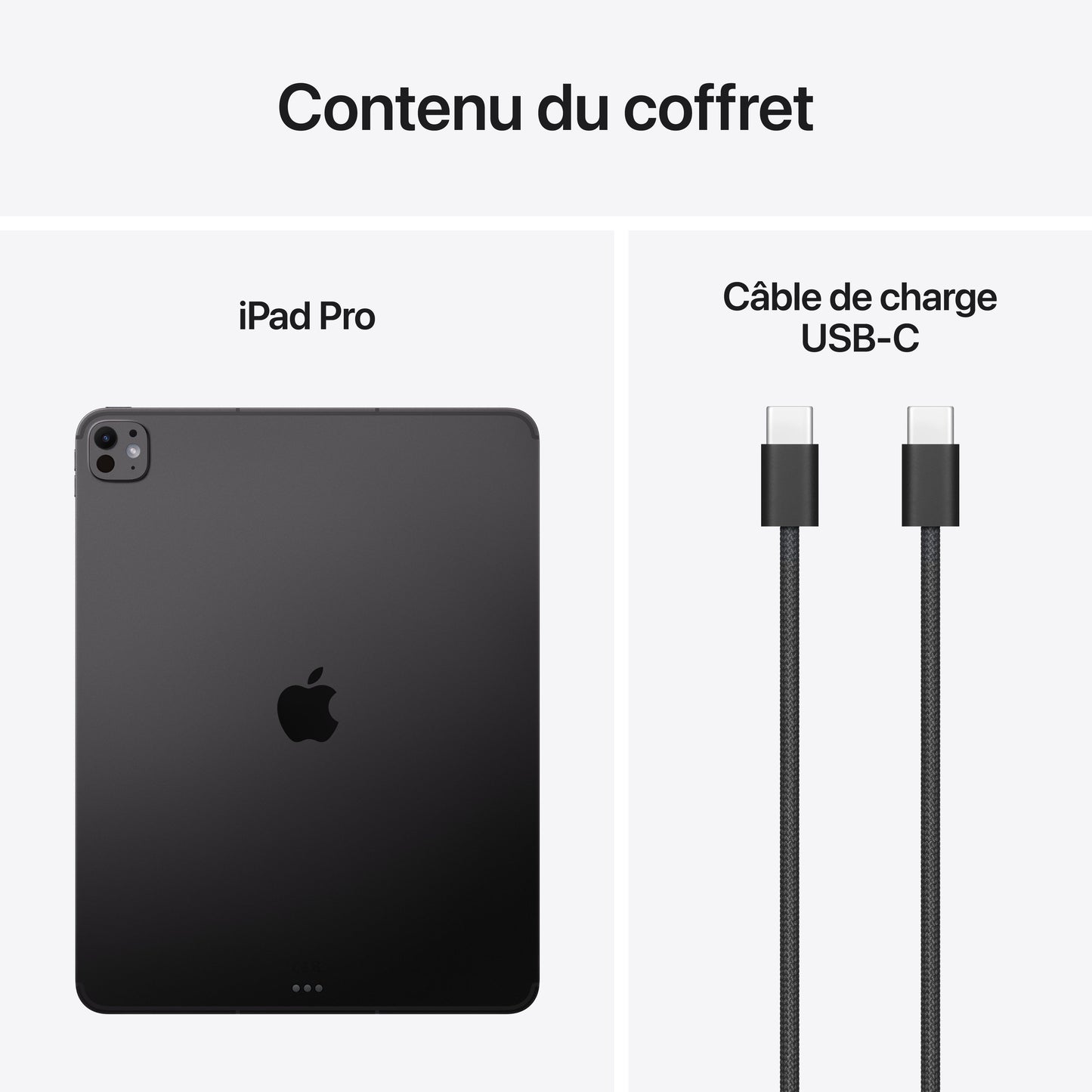 iPad Pro 13 pouces Wi-Fi + Cellular 1 To Verre nano-texturé - Noir sidéral (M5)