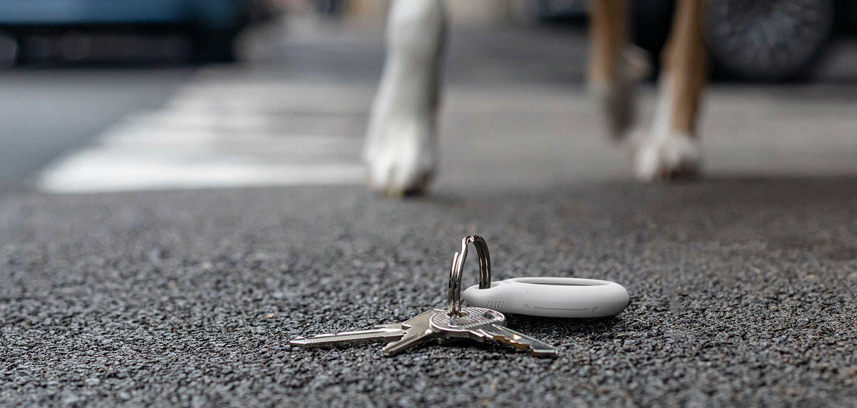 Belkin Porte-clés sécurisé pour AirTag • Noir