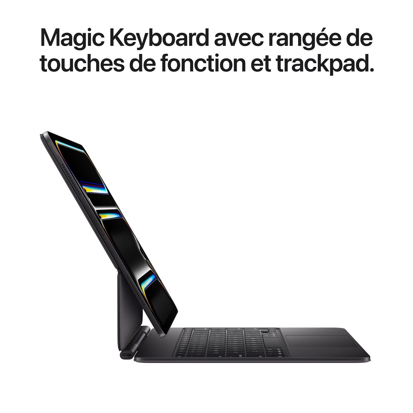 iPad Pro 13 pouces Wi-Fi + Cellular 1 To Verre standard - Argent (M5)