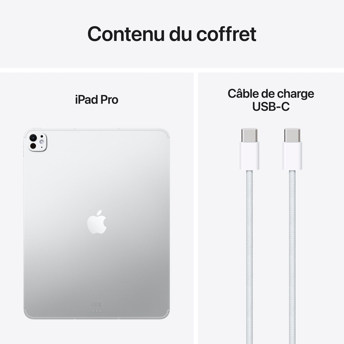 iPad Pro 13 pouces Wi-Fi + Cellular 1 To Verre standard - Argent (M5)