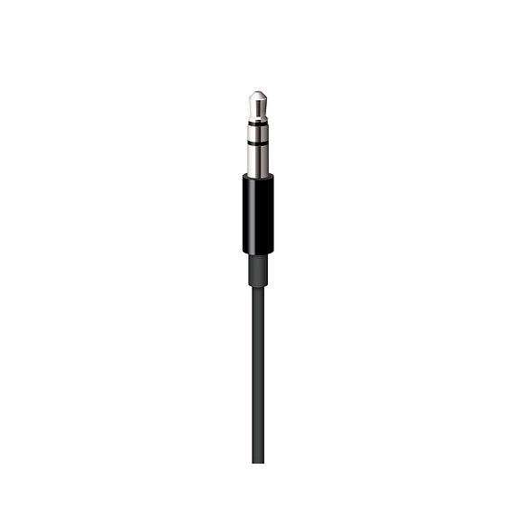 Apple câble audio 3,5mm vers Lightning • 1,2 m • Noir