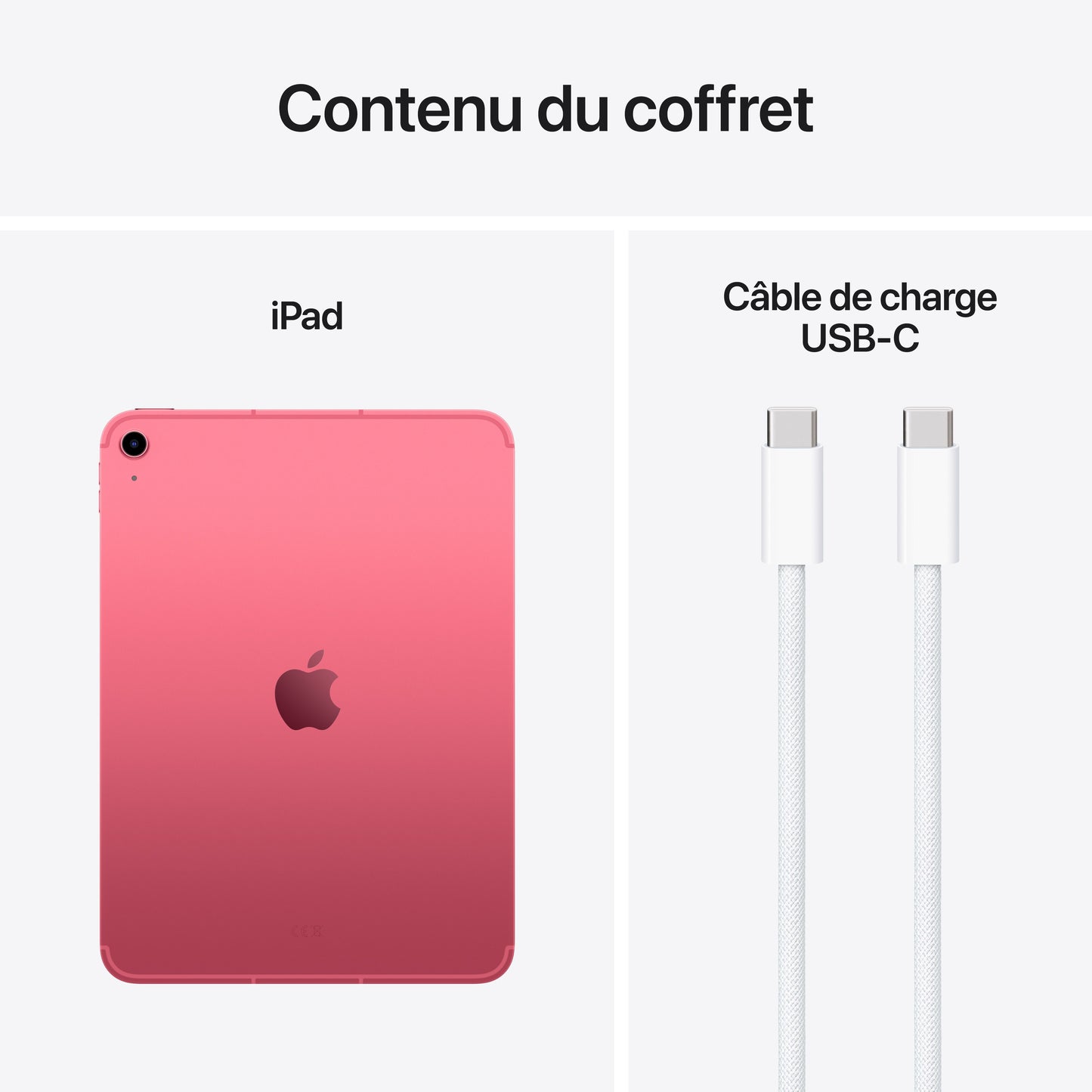 iPad Wi-Fi + Cellular 256 Go - Rose (A16)