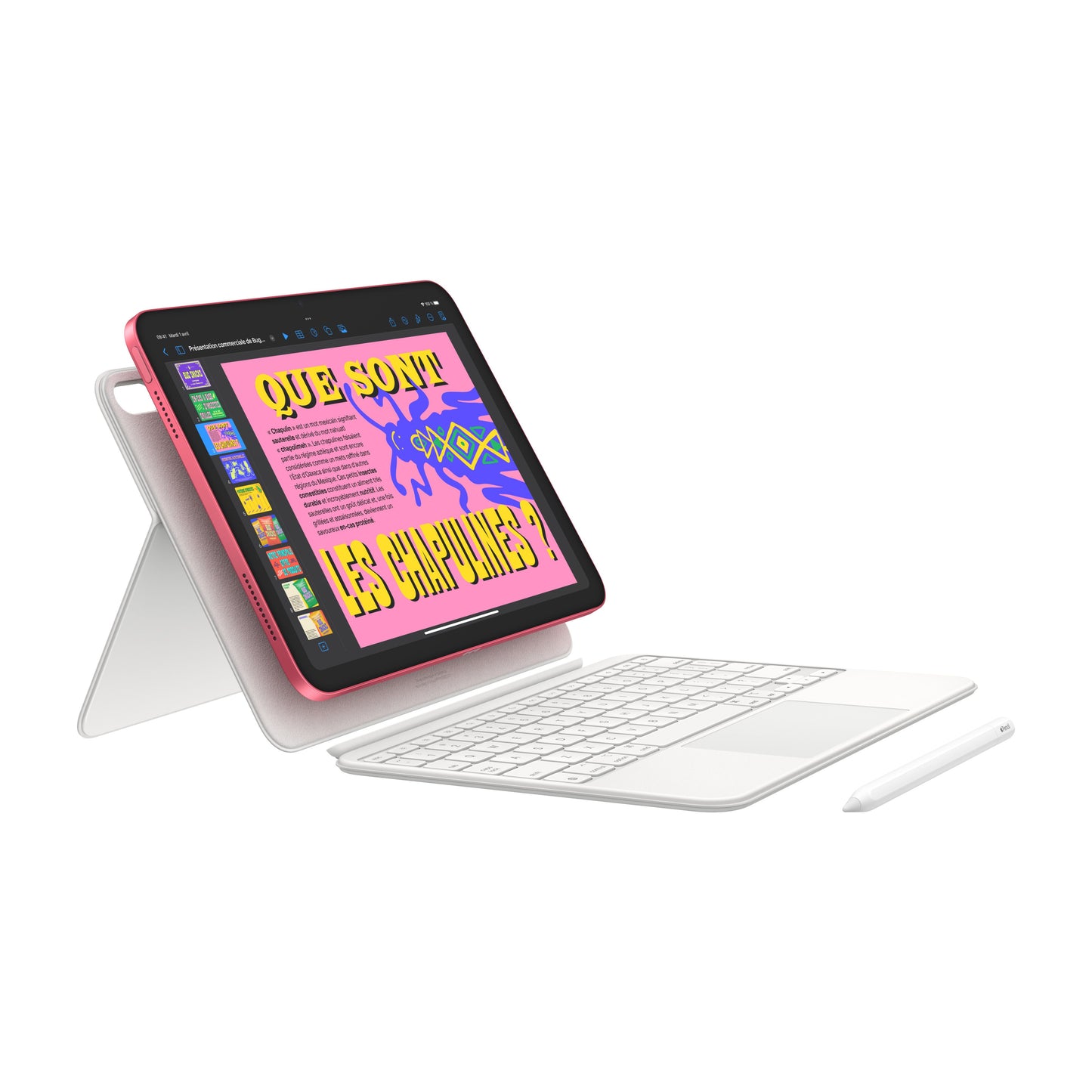 iPad Wi-Fi + Cellular 512 Go - Argent (A16)