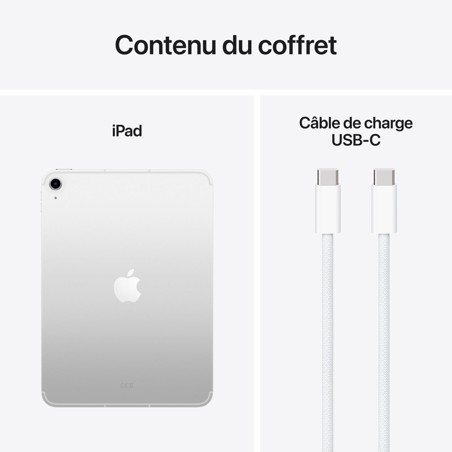 iPad Wi-Fi + Cellular 128 Go - Argent (A16)