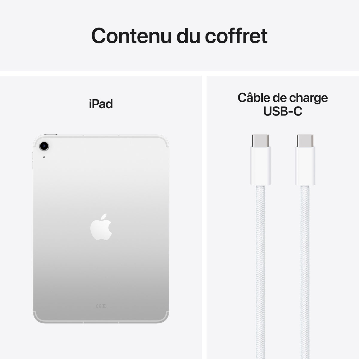iPad Wi-Fi + Cellular 512 Go - Argent (A16)