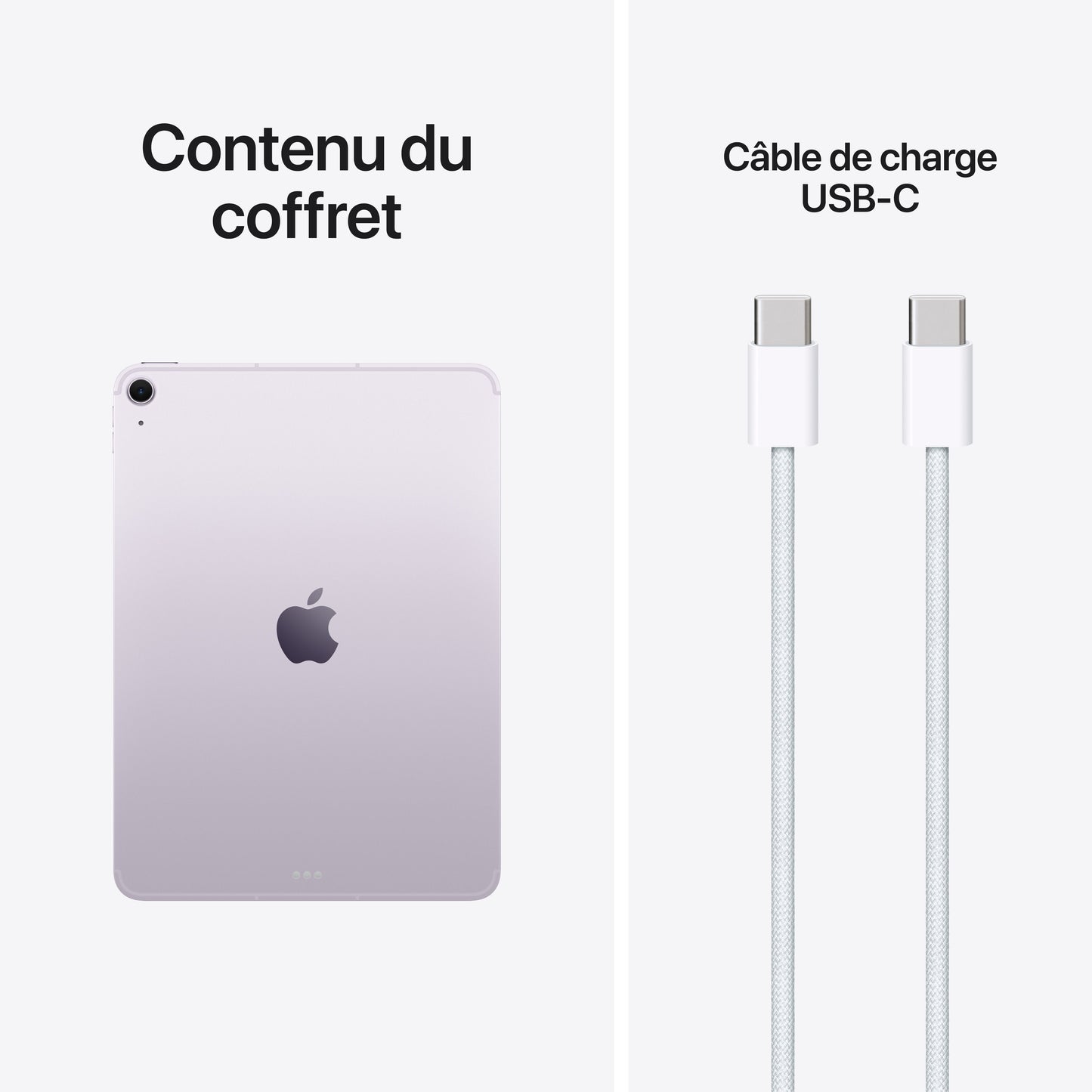 iPad Air 11 pouces Wi-Fi + Cellular 256 Go - Mauve (M4)