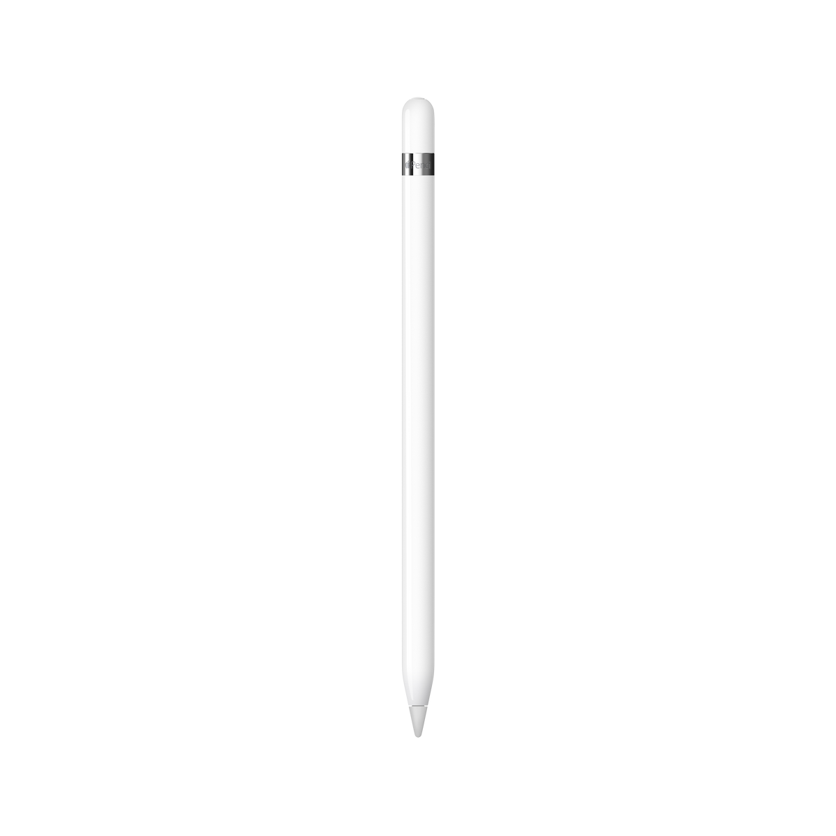 Apple Pencil (1re génération) - Comprend Adaptateur USB-C vers Apple Pencil