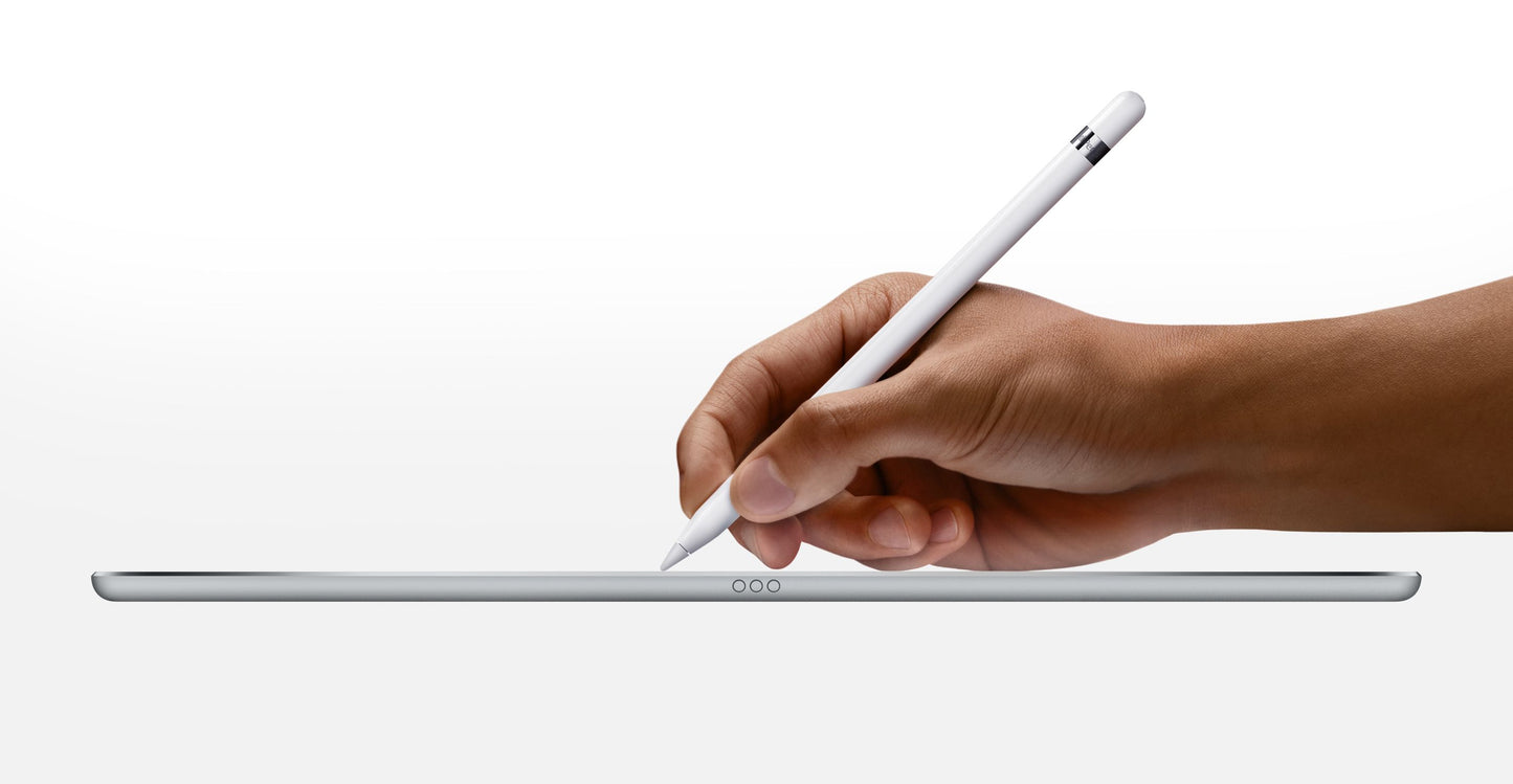 Apple Pencil (1re génération) - Comprend Adaptateur USB-C vers Apple Pencil