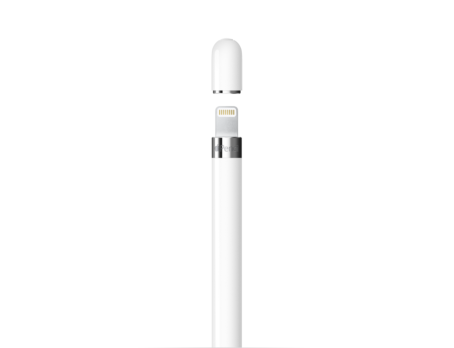 Apple Pencil (1re génération) - Comprend Adaptateur USB-C vers Apple Pencil