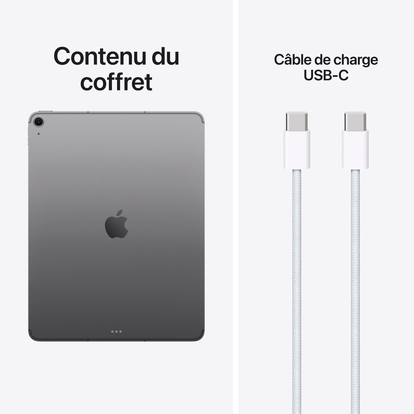 iPad Air 13 pouces Wi-Fi + Cellular 1 To - Gris sidéral (M4)