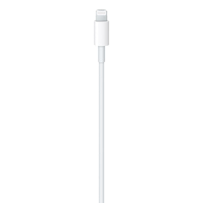 Apple Lightning to USB-C Cable • 1m