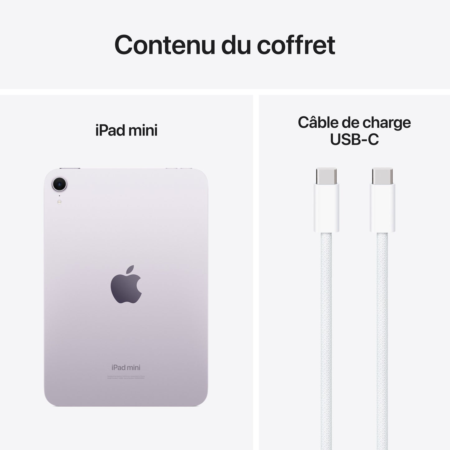 iPad mini Wi-Fi 256 Go - Mauve (A17 Pro)