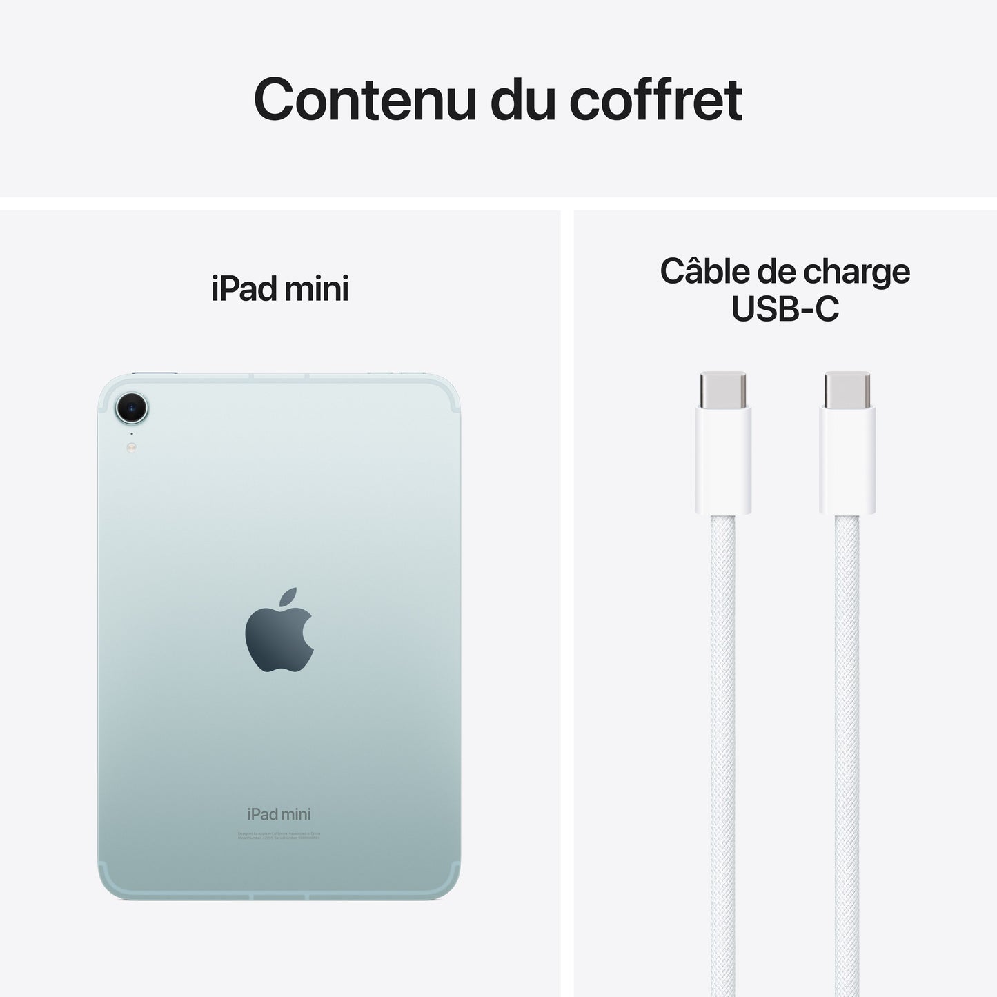 iPad mini Wi-Fi + Cellular 512 Go - Bleu (A17 Pro)