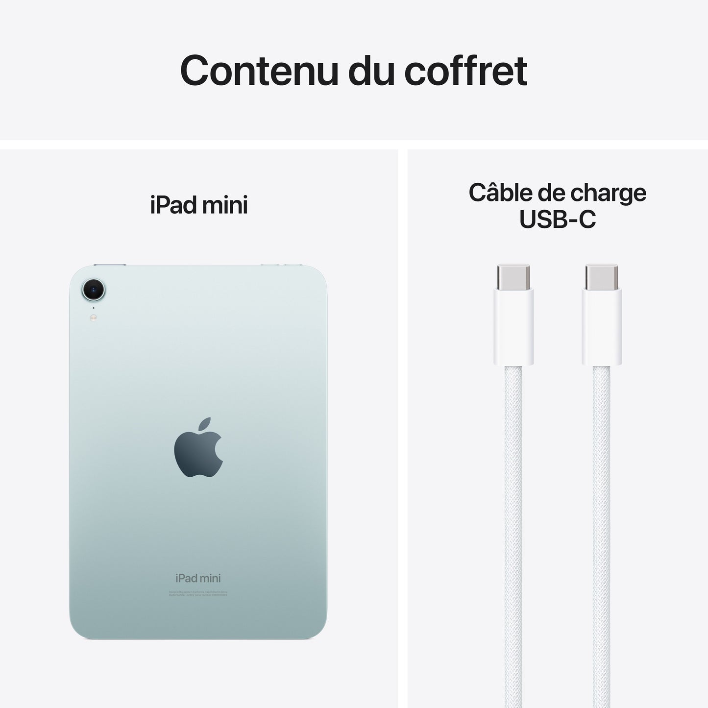 iPad mini Wi-Fi 256 Go - Bleu (A17 Pro)