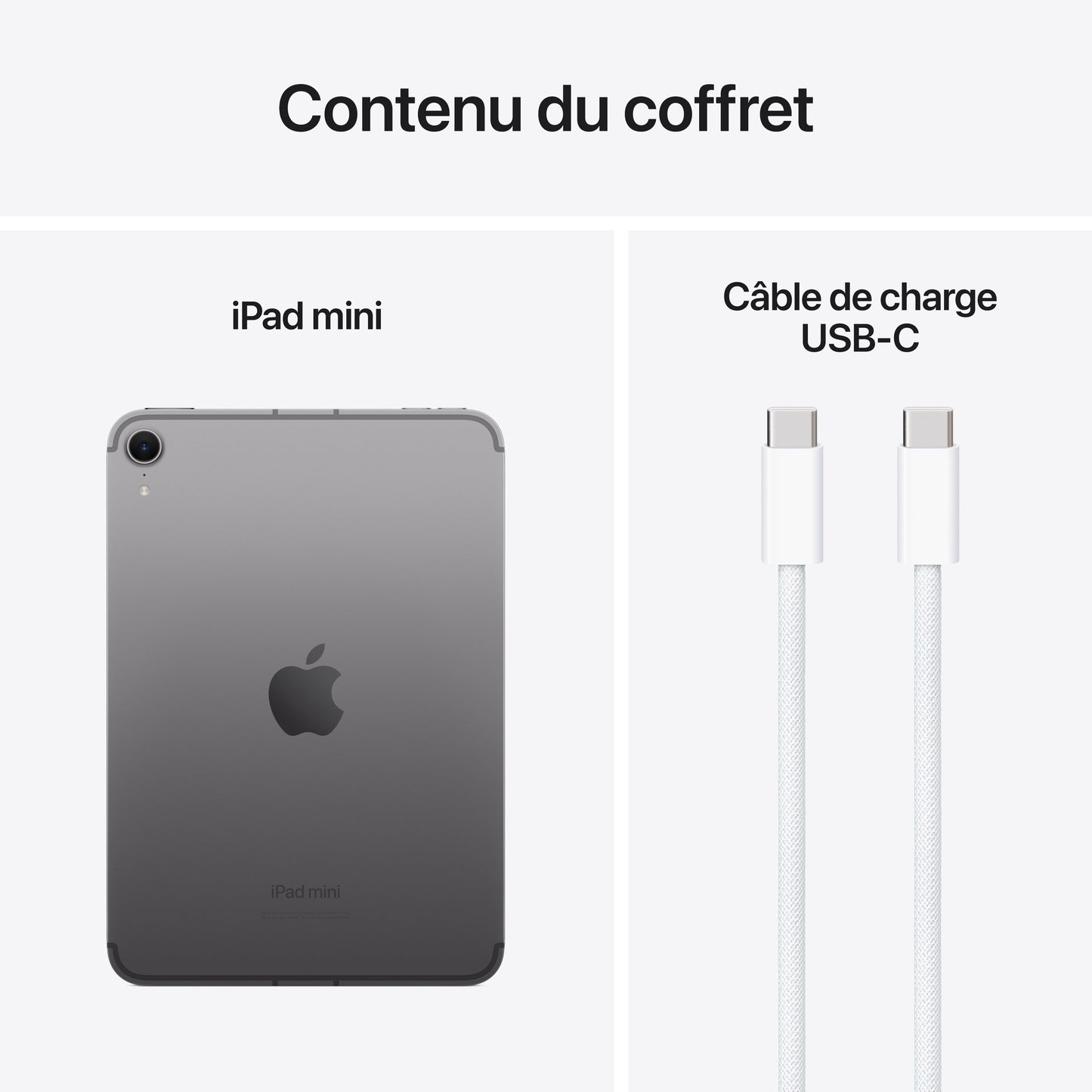 iPad mini Wi-Fi + Cellular 256 Go - Gris sidéral (A17 Pro)