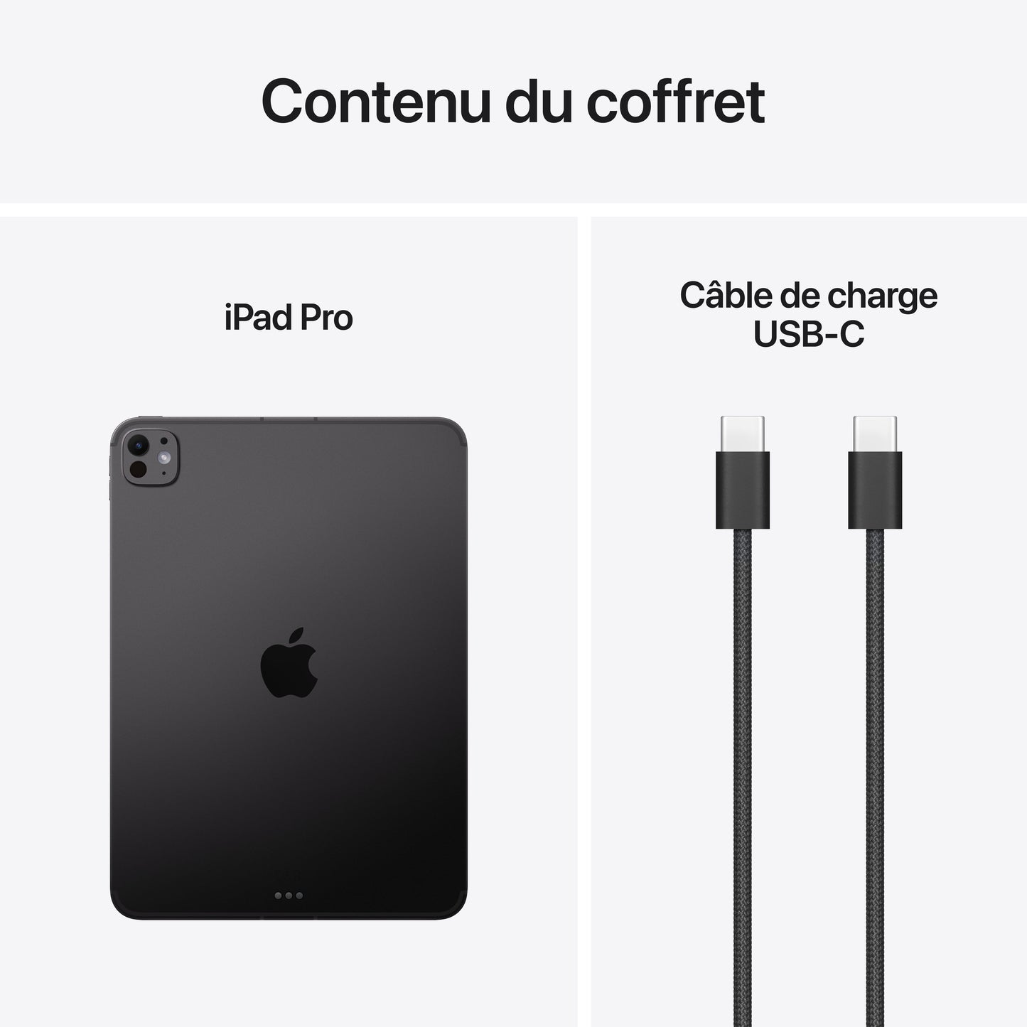 iPad Pro 11 pouces Wi-Fi + Cellular 256 Go Verre standard - Noir sidéral (M5)