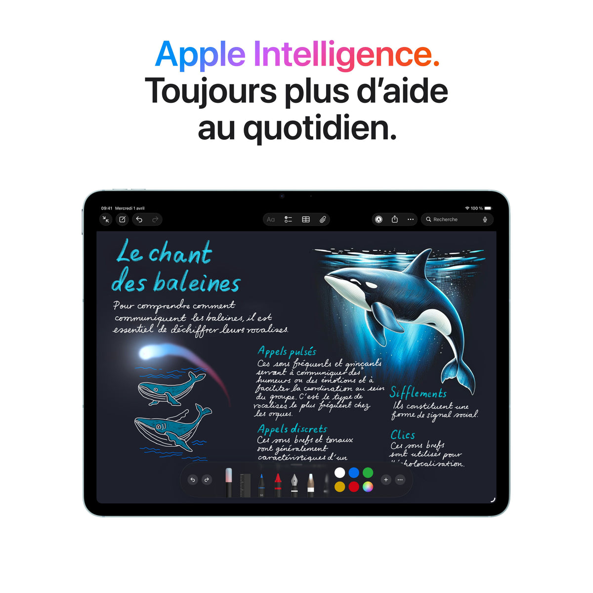 iPad Air 13 pouces Wi-Fi + Cellular 1 To - Bleu (M4)