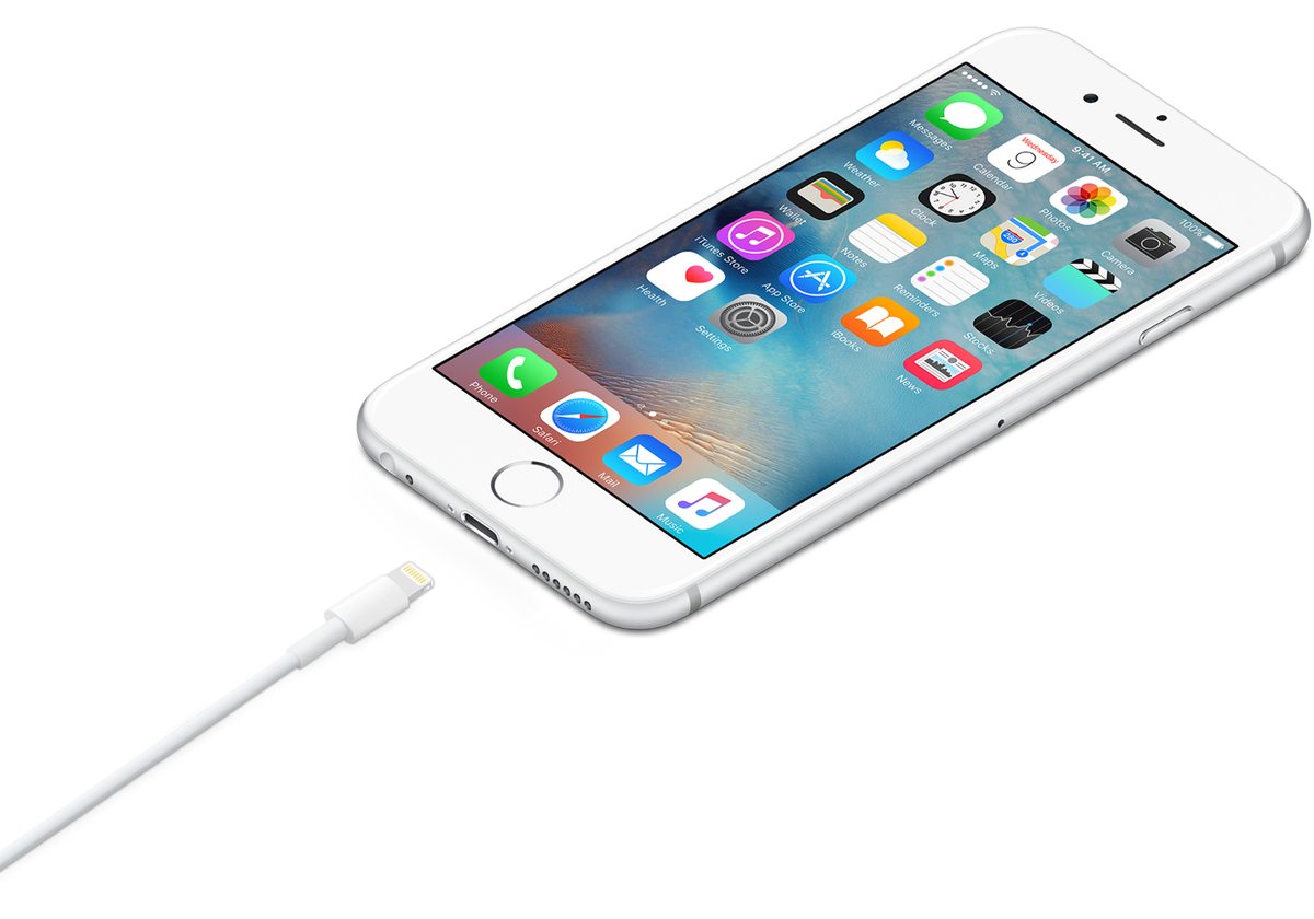 Câble Lightning vers USB (1 m)