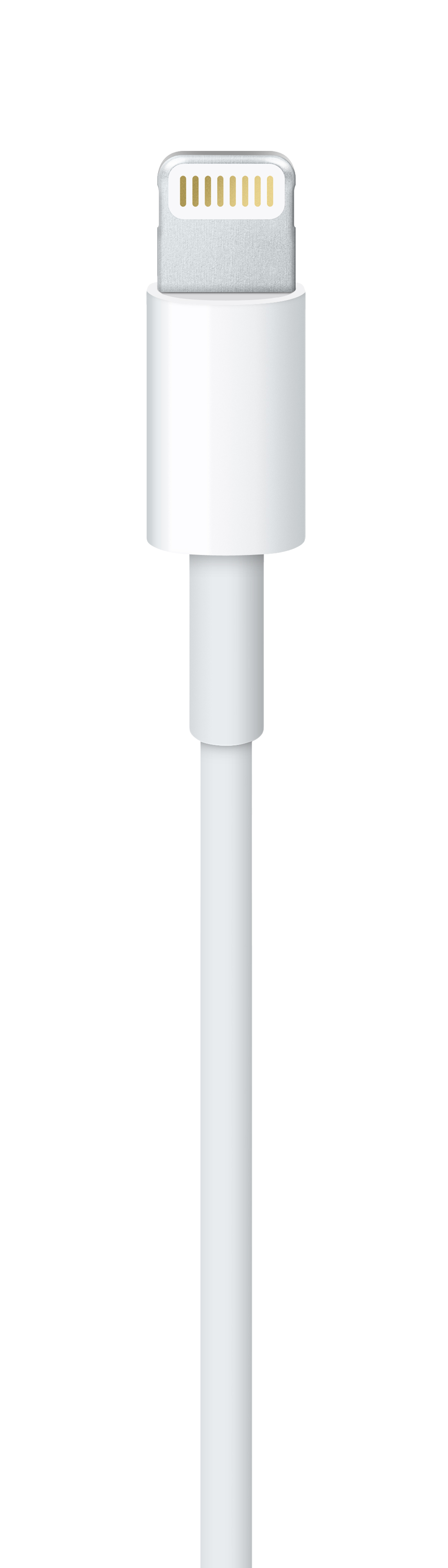 Câble Lightning vers USB (1 m)