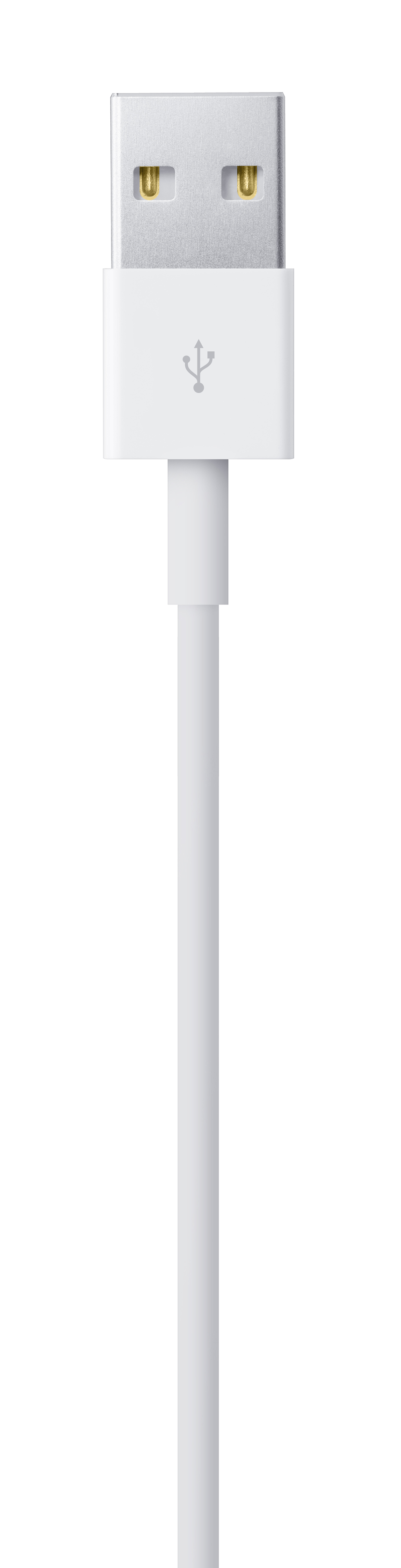 Câble Lightning vers USB (1 m)