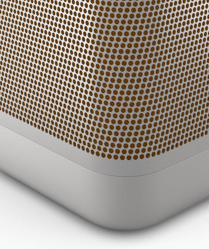 Bang & Olufsen BeoPlay Beolit 20 • Gris Brumeux