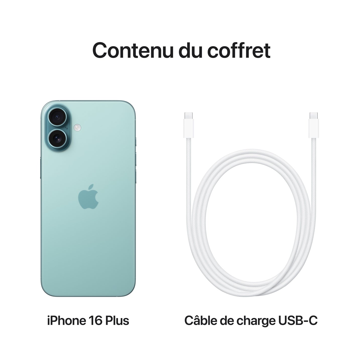 iPhone 16 Plus 128 Go Cyan