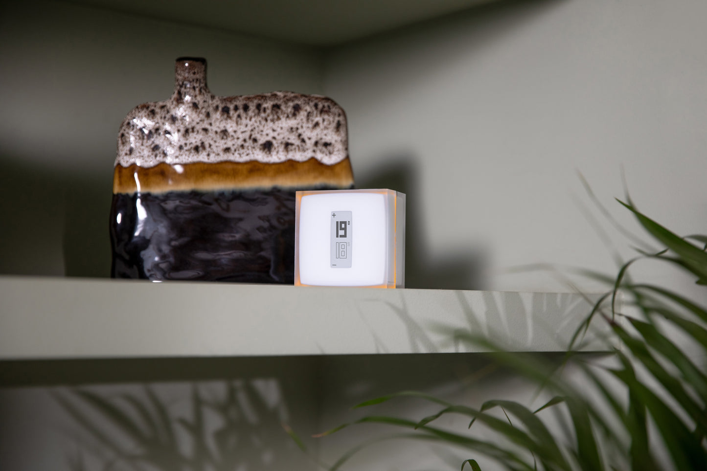 Netatmo • Thermostat Connecté et Intelligent