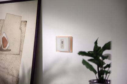 Netatmo • Thermostat Connecté et Intelligent