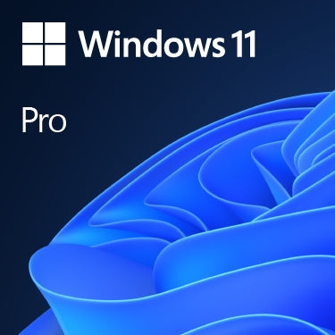 Microsoft Windows 11 Pro - 1 licence - EN